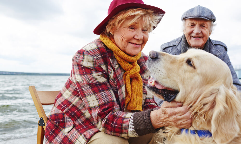retirement regret