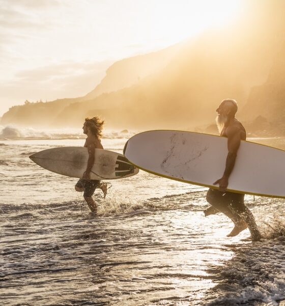 surf brands